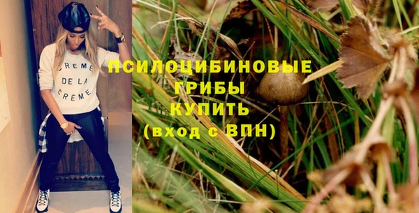 дурь Наволоки