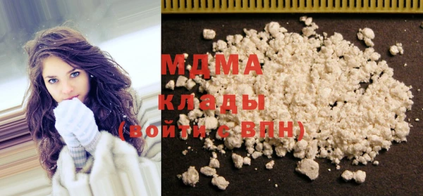 индика Богородицк