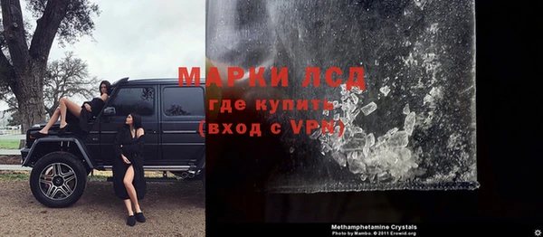 сатива Надым
