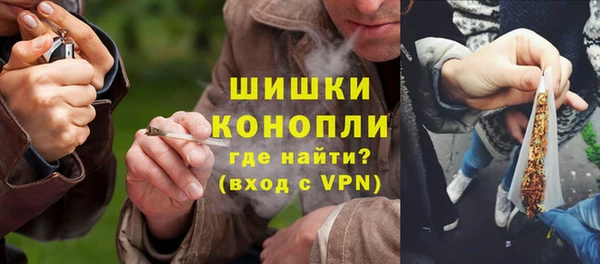 сатива Надым