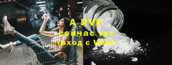 сатива Надым