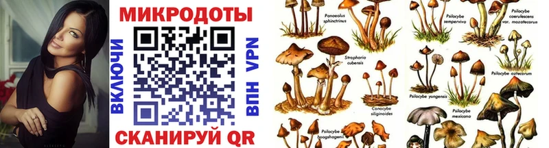 Галлюциногенные грибы прущие грибы  площадка как зайти  Дубна 