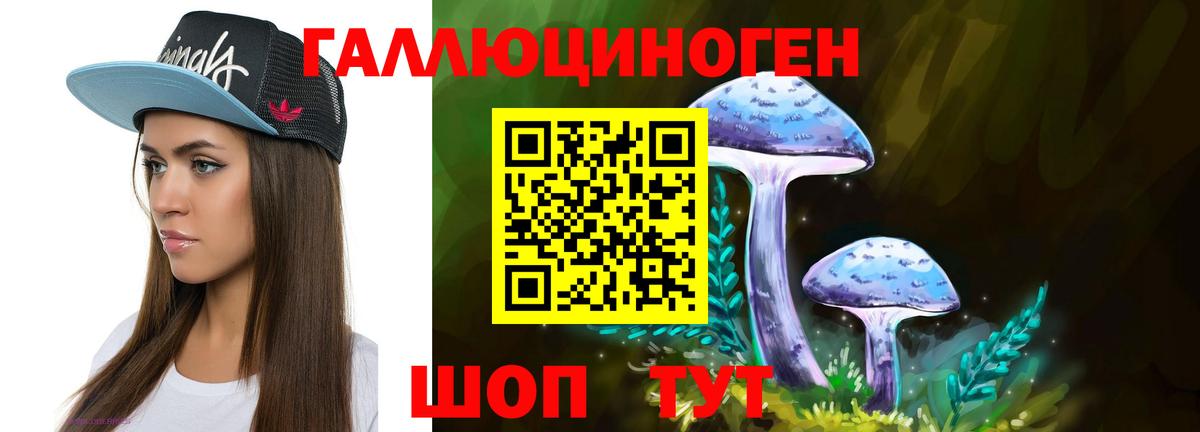 Псилоцибиновые грибы мицелий Дубна